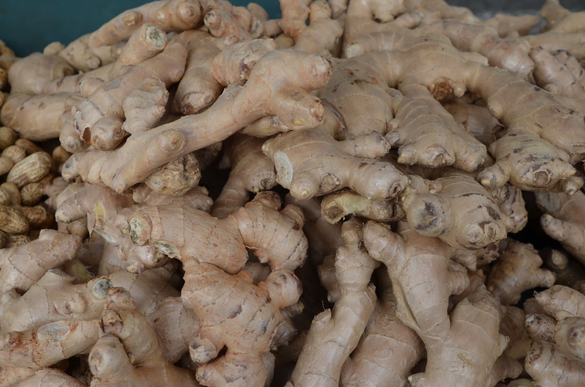 Preparación tradicional de infusiones con jengibre